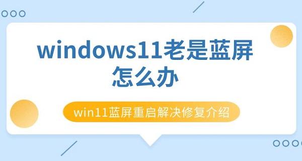 windows11老是藍(lán)屏怎么辦 win11藍(lán)屏重啟解決修復(fù)介紹