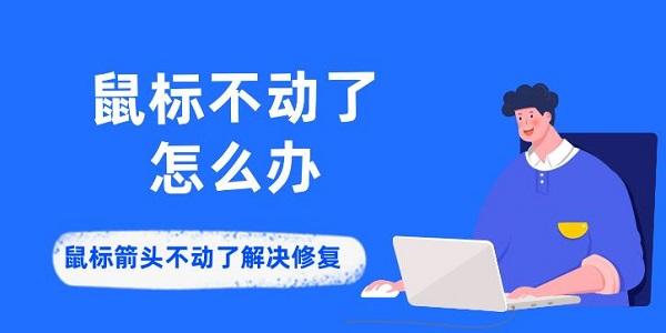 鼠標不動了怎么辦 鼠標箭頭不動了解決修復(fù)方法