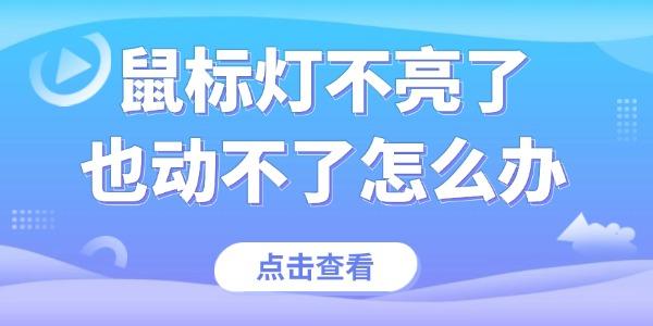 鼠標(biāo)燈不亮了也動不了怎么辦