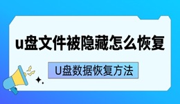 u盤文件被隱藏怎么恢復(fù) 盤點4種恢復(fù)U盤數(shù)據(jù)方法